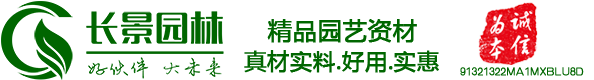 [長景園林] 苗木批發基地-綠化公司-提供苗木報價-品種名稱圖片查詢