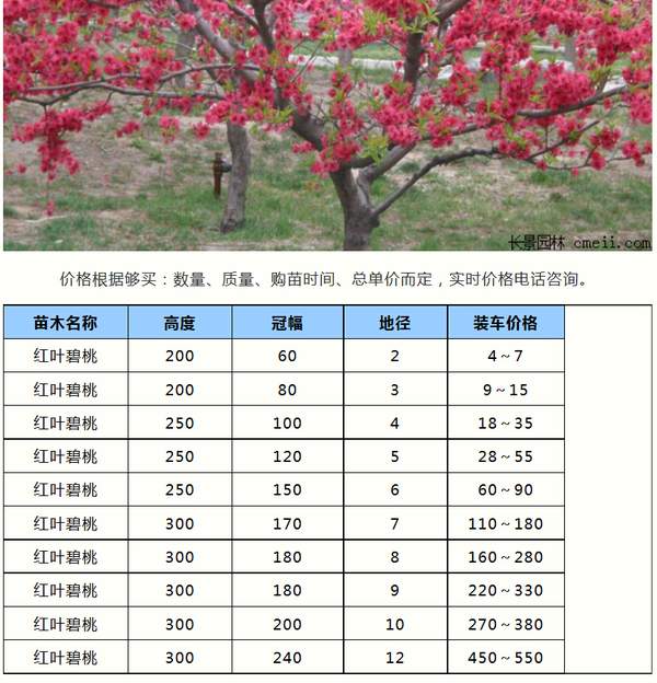 http://www.hljchwrj.cn/uploads/allimg/160910/11-16091015254M05.jpg